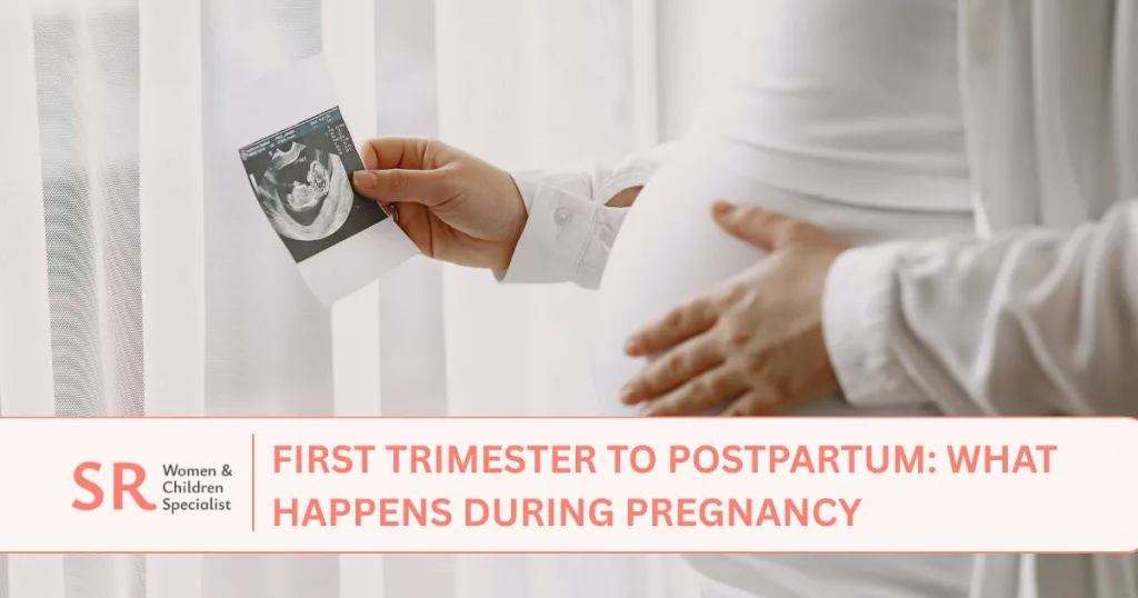 first trimester postpartum what happens during pregnancy