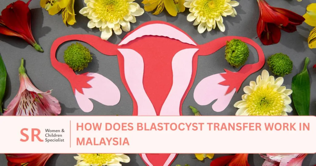 how does blastocyst transfer work malaysia