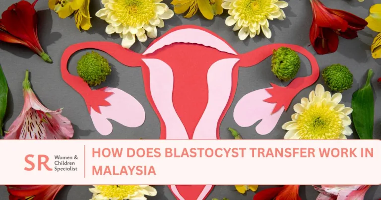 how does blastocyst transfer work malaysia