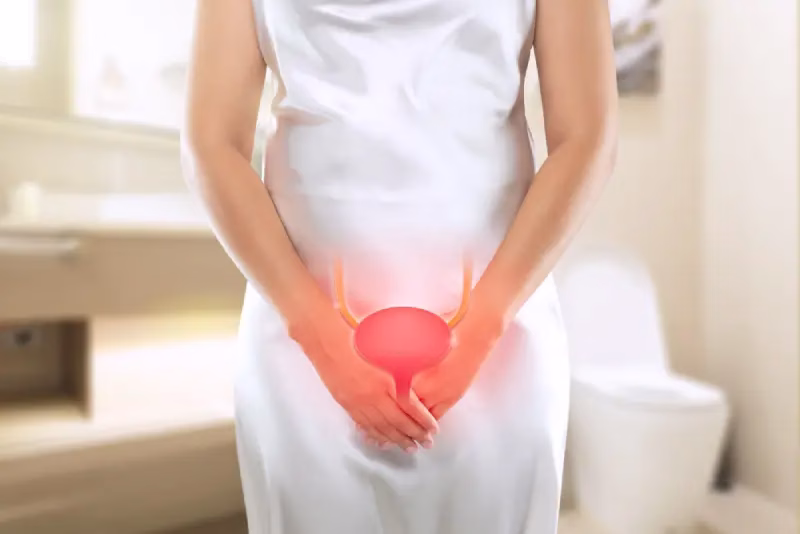 妇科诊所 8 膀胱不适——女性的泌尿健康
