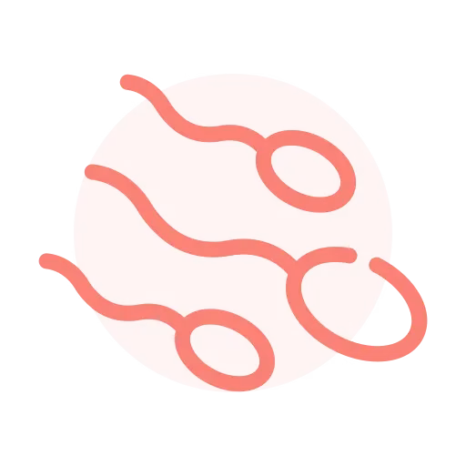 male fertility healthcare icon